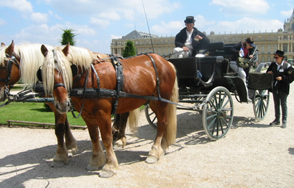 The end of the line... the horses need a drink!