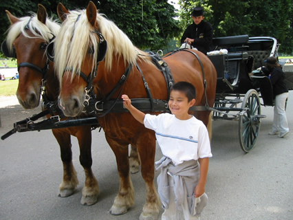 Max and the horses enjoying a good joke