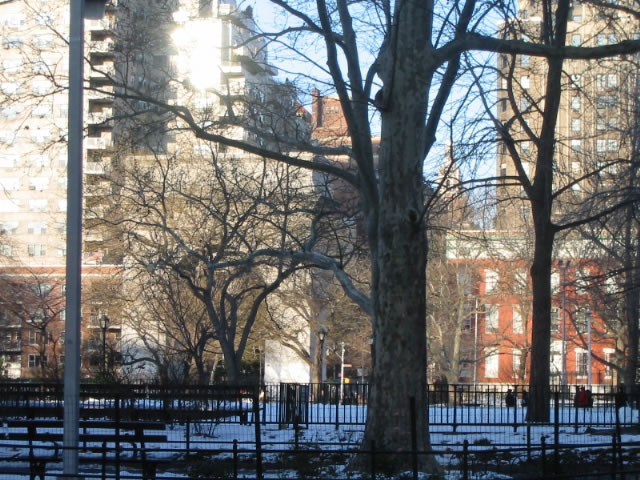 More of the park
