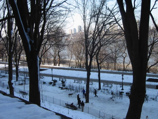 Dog park at Riverside