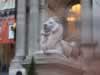 lion in front of ny public library (48,475 bytes)